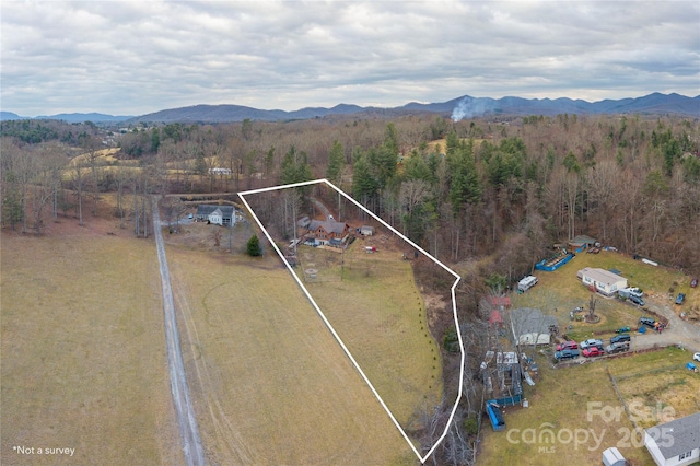 bird's eye view featuring a mountain view