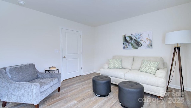 living room with wood-type flooring