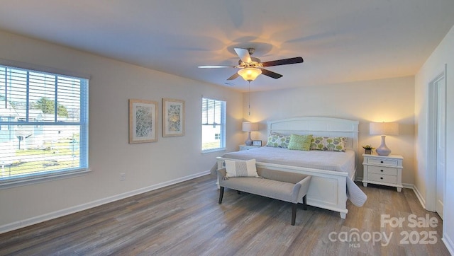 bedroom featuring wood-type flooring, multiple windows, and ceiling fan