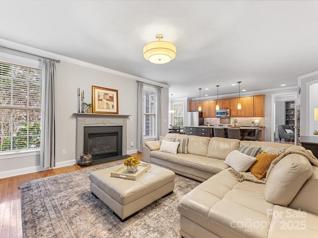 living room with crown molding and light hardwood / wood-style flooring