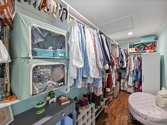 walk in closet with dark hardwood / wood-style flooring