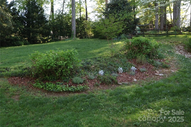3828 Chandworth Rd, Charlotte, NC 28210 - view of yard