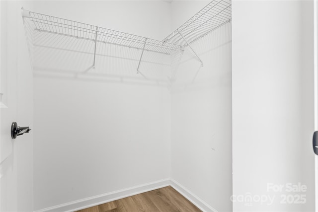 spacious closet featuring wood-type flooring