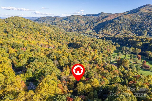aerial view with a mountain view and a forest view