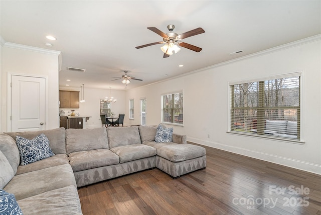 living room with dark wood-type flooring, ornamental molding, ceiling fan with notable chandelier, and a wealth of natural light