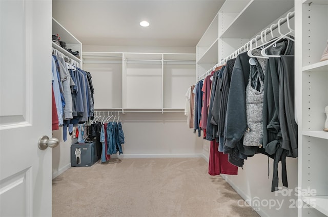 walk in closet featuring light carpet