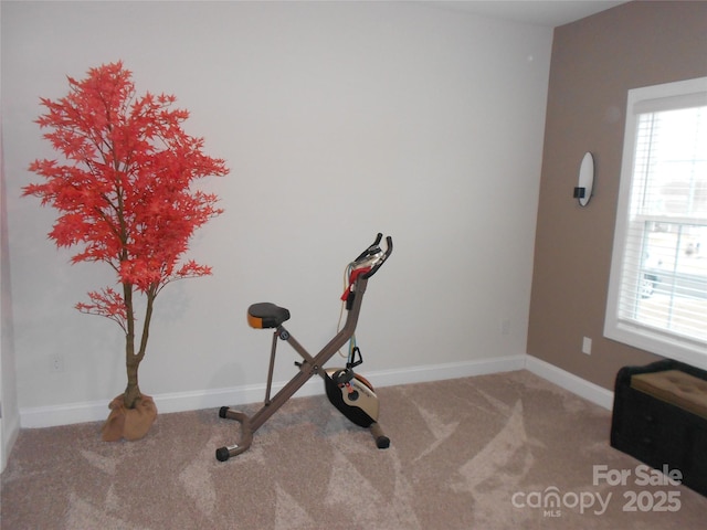 exercise room featuring carpet flooring and baseboards