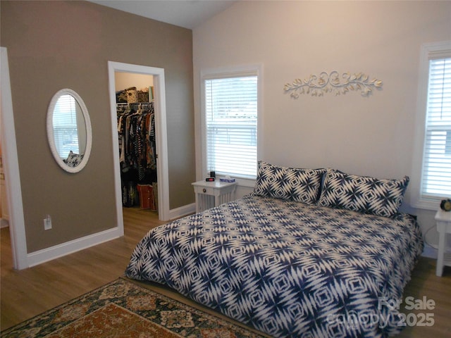 bedroom featuring a walk in closet, a closet, multiple windows, and wood finished floors