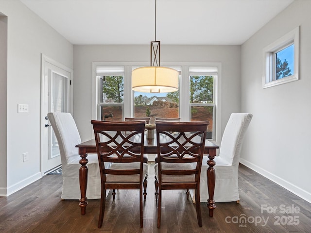 dining area featuring dark wood-type flooring