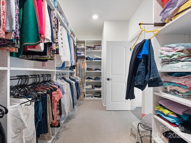 walk in closet with carpet flooring