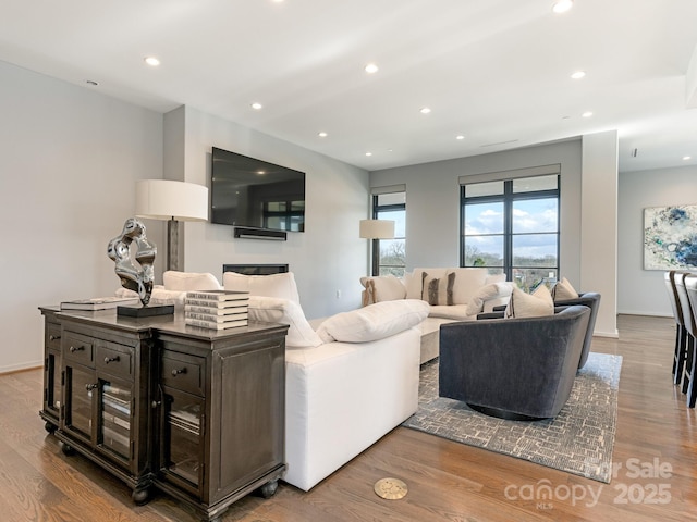 living room with light hardwood / wood-style flooring