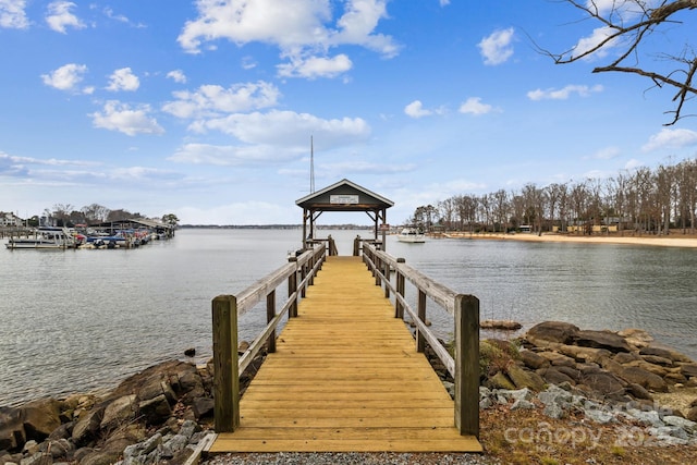 dock area with a water view