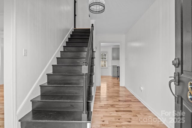 interior space with wood-type flooring and crown molding