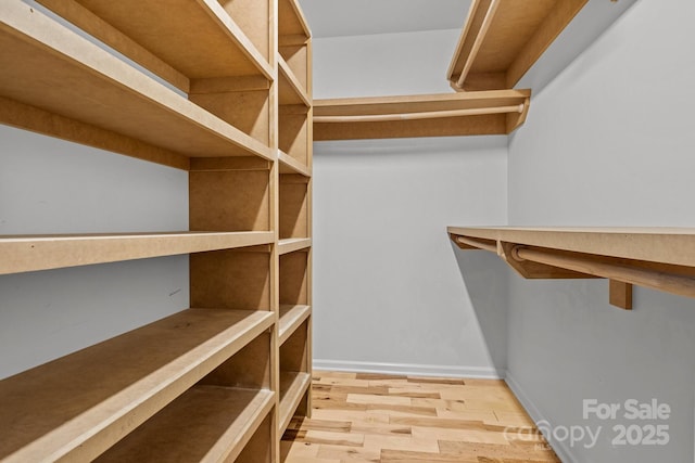 walk in closet featuring light wood-type flooring