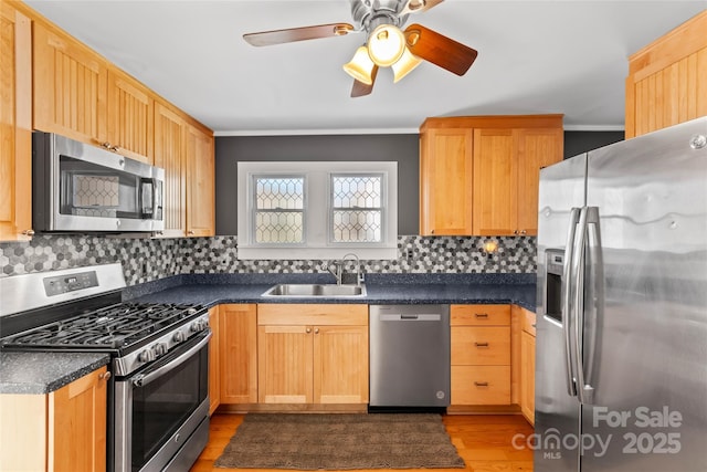 kitchen with sink, backsplash, light hardwood / wood-style flooring, and stainless steel appliances