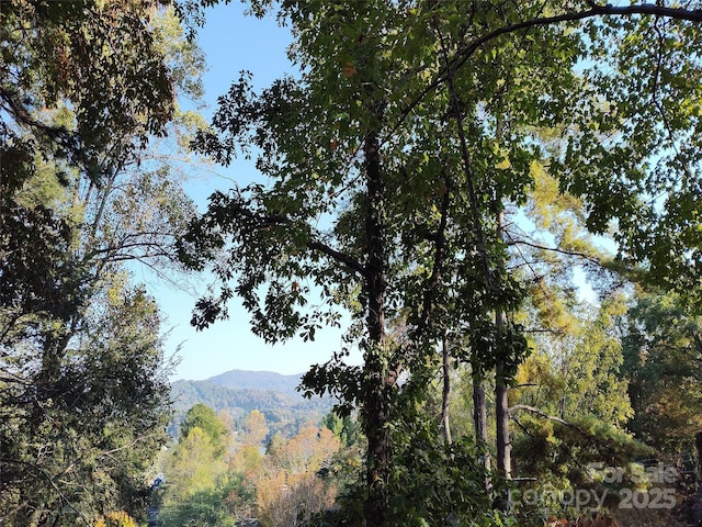 property view of mountains