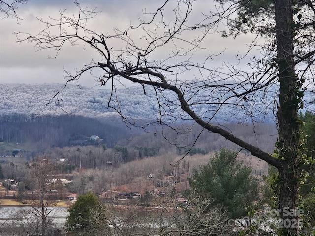 view of mountain feature with a water view