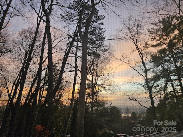 view of nature at dusk