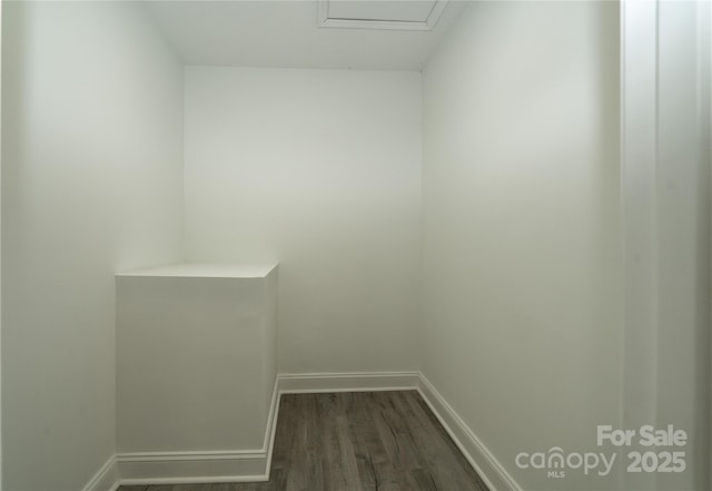 spacious closet featuring dark hardwood / wood-style flooring