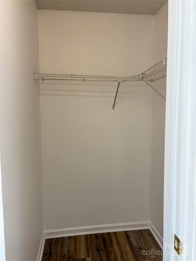 walk in closet with dark hardwood / wood-style flooring