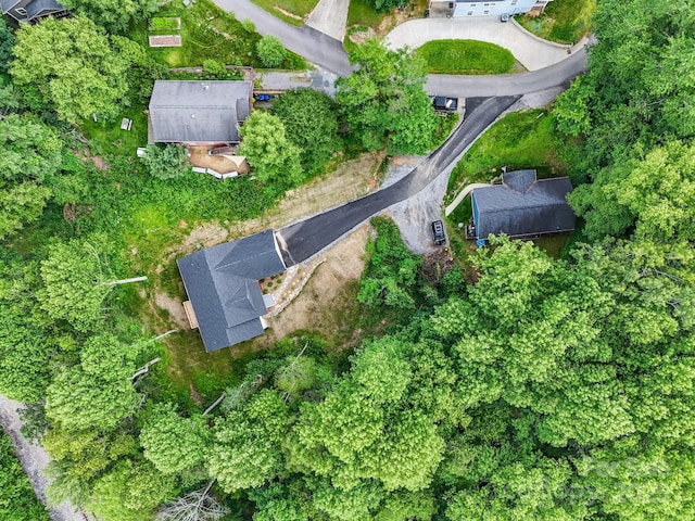 25 Amys Way, Black Mountain, NC 28711 - aerial view of property's location
