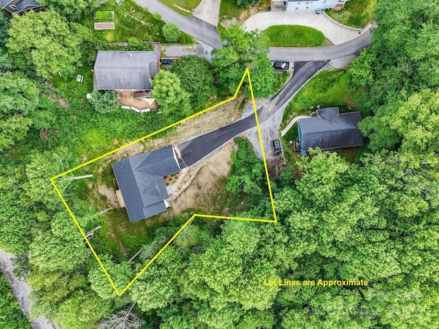 25 Amys Way, Black Mountain, NC 28711 - view of property location featuring property boundaries highlighted