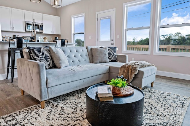 25 Amys Way, Black Mountain, NC 28711 - living room featuring healthy amount of natural light, wood finished floors, and baseboards
