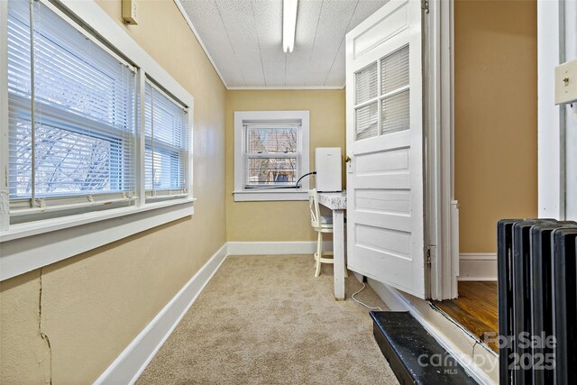 125 Church St, Black Mountain, NC 28711 - photo 19
