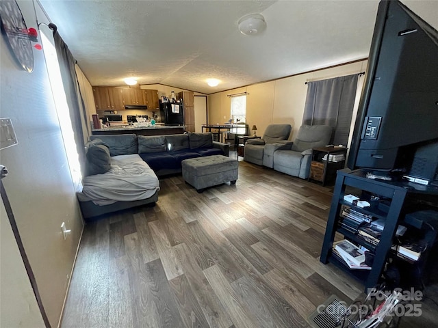 living room featuring vaulted ceiling, wood-type flooring, and a textured ceiling