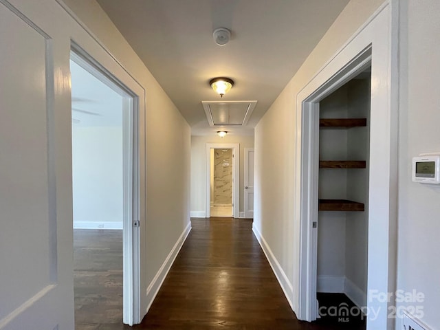 hall with built in shelves and dark hardwood / wood-style flooring