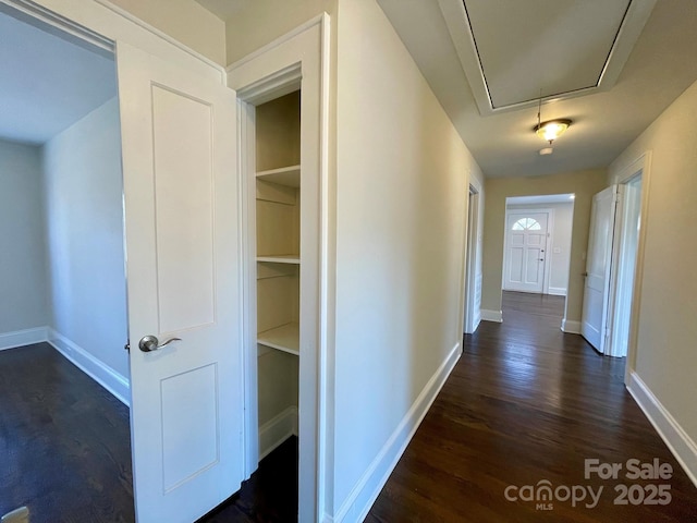 corridor featuring dark wood-type flooring