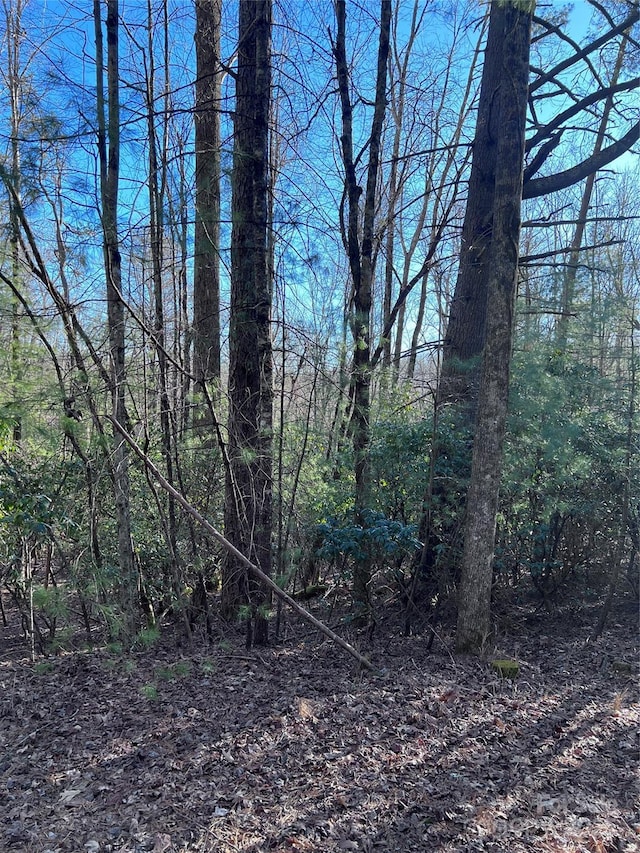 Listing photo 2 for L26 Konnaneeta Trl Unit U03L026, Brevard NC 28712