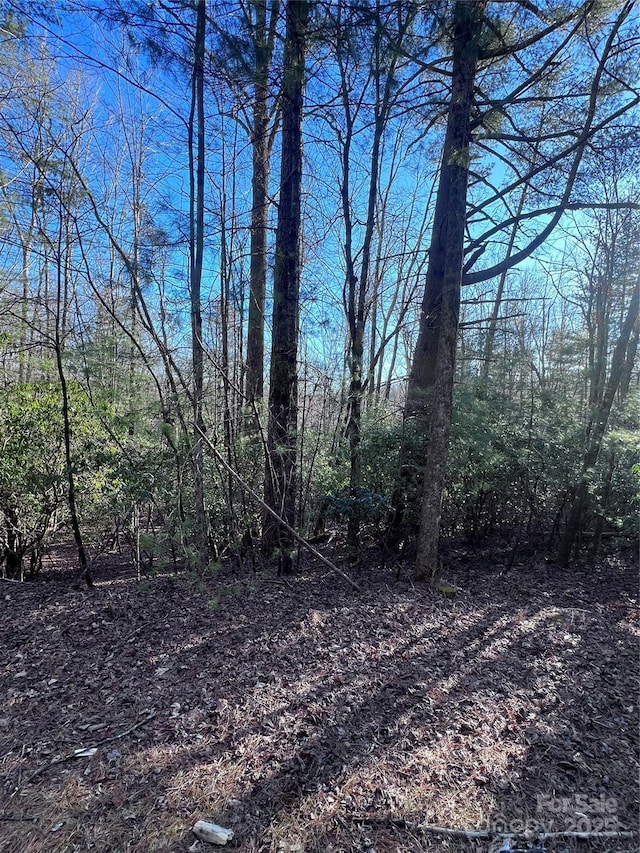 Listing photo 3 for L26 Konnaneeta Trl Unit U03L026, Brevard NC 28712