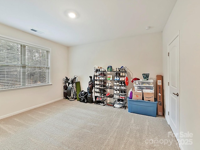 interior space with carpet floors