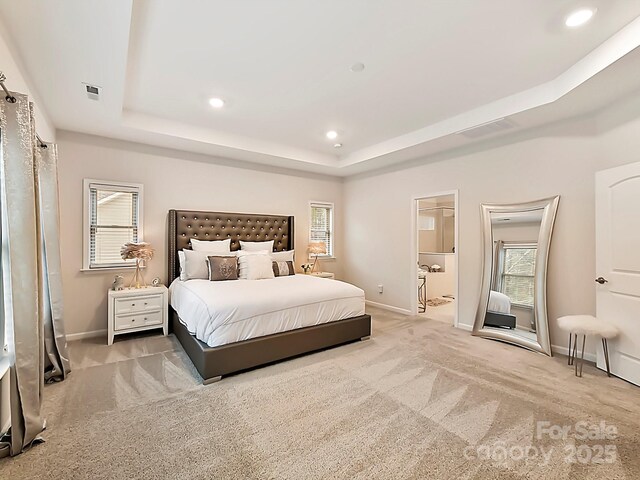 carpeted bedroom featuring a raised ceiling