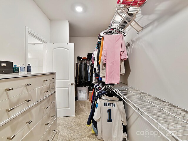 spacious closet with light carpet