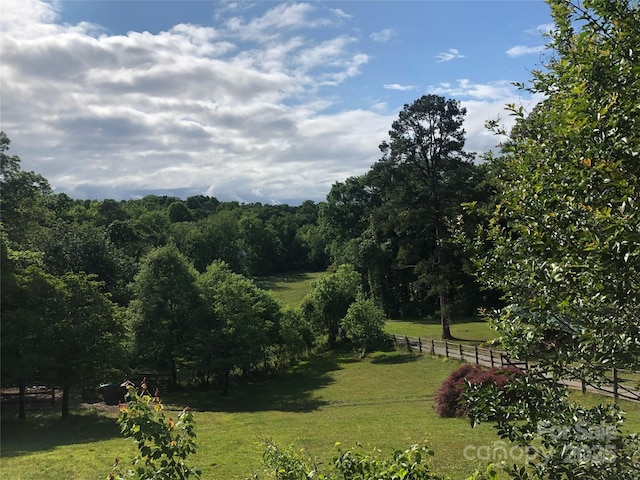 view of yard with a rural view