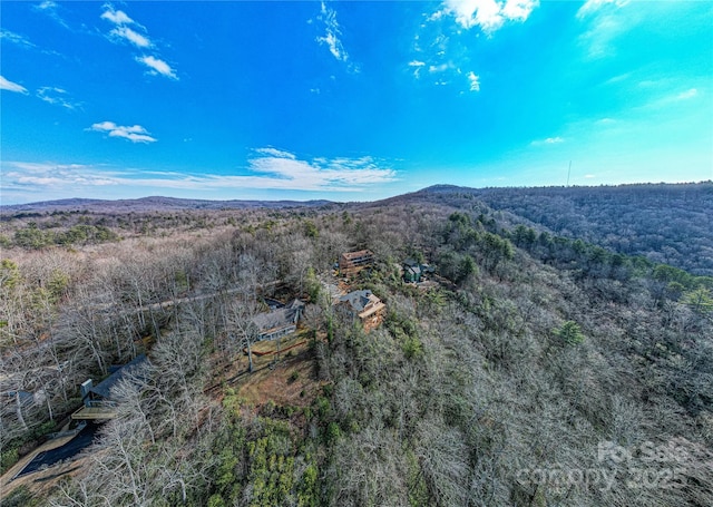 bird's eye view featuring a mountain view and a view of trees