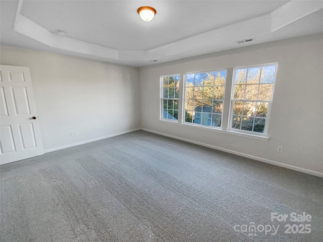 unfurnished room featuring carpet floors, plenty of natural light, and a raised ceiling