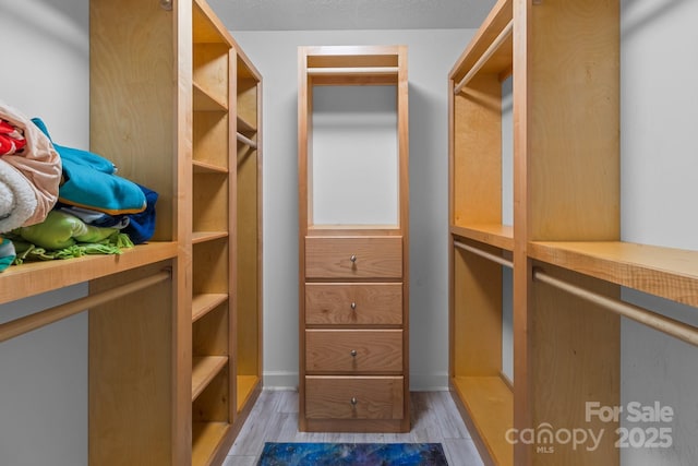 walk in closet featuring light hardwood / wood-style flooring