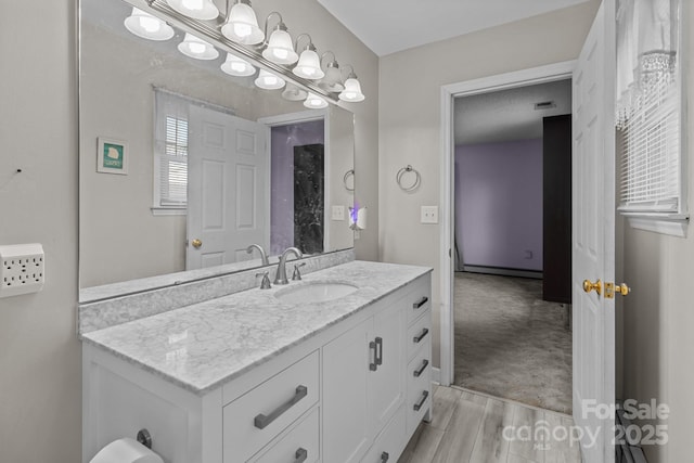 bathroom with wood-type flooring and vanity