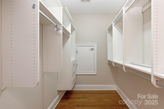 walk in closet featuring hardwood / wood-style flooring