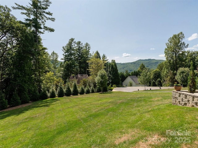 view of yard with a mountain view