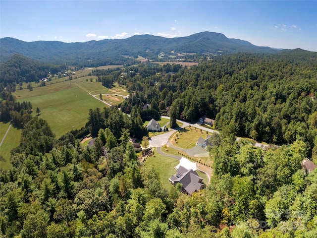 bird's eye view with a mountain view