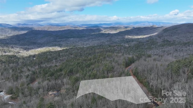 LOT76 Peppervine Cir, Brevard NC, 28712 land for sale