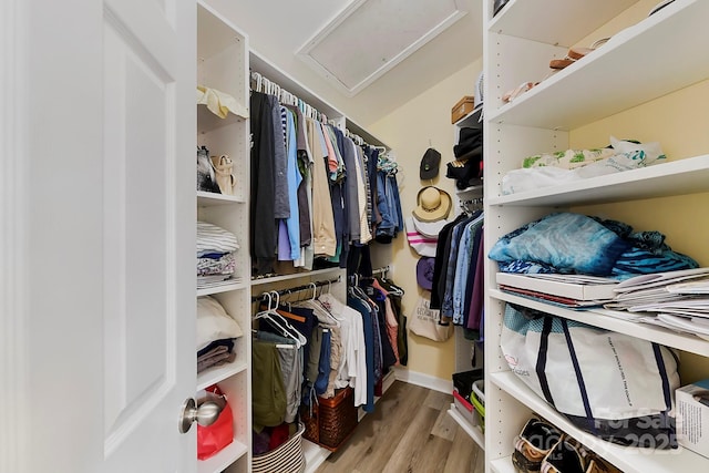 spacious closet featuring light hardwood / wood-style floors