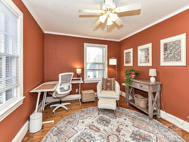 home office featuring hardwood / wood-style flooring, ceiling fan, and ornamental molding