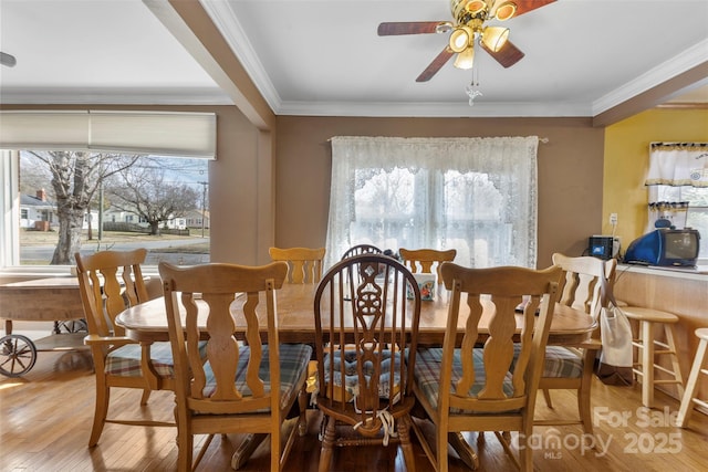 dining room featuring ornamental molding, wood finished floors, and a ceiling fan