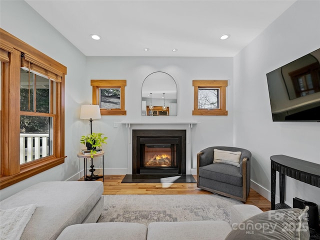 living room featuring light hardwood / wood-style floors