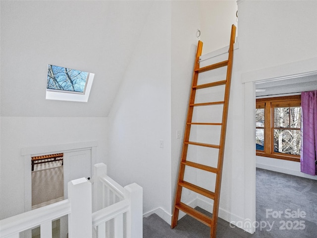 stairs featuring lofted ceiling with skylight and carpet flooring